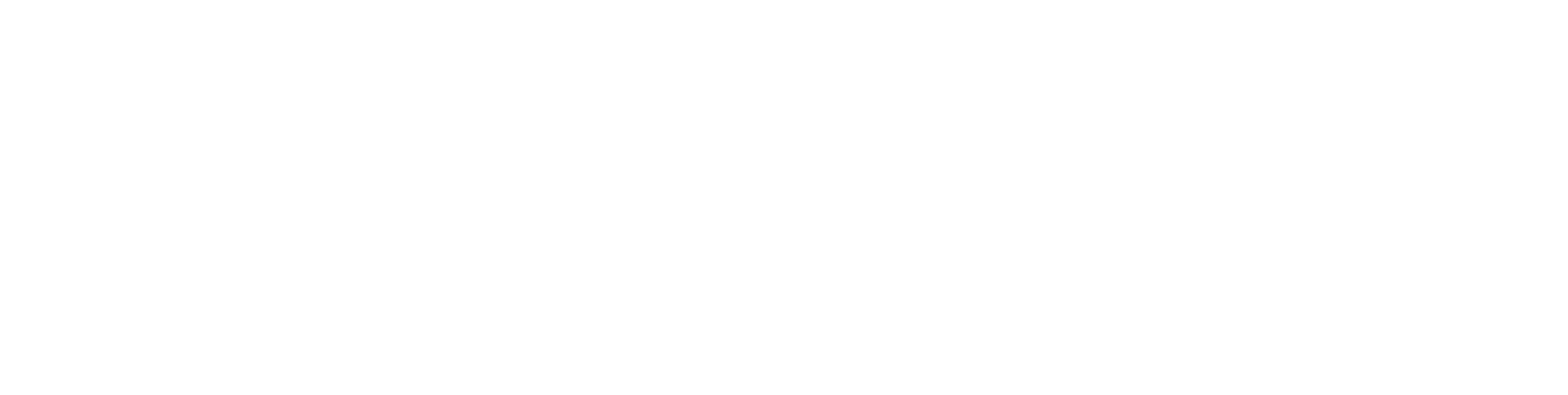 Dreamnet
